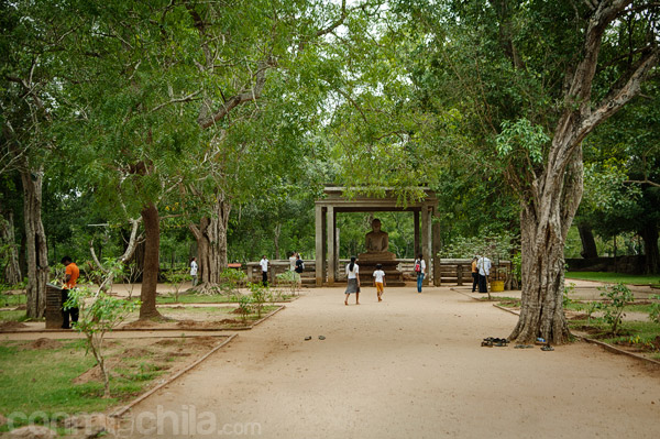 El camino de tierra que lleva a la estatua Samadhi de Anuradhapura