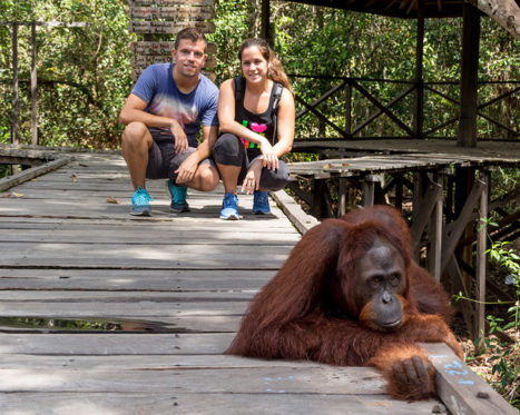 Nosotros en el parque nacional Tanjung Puting