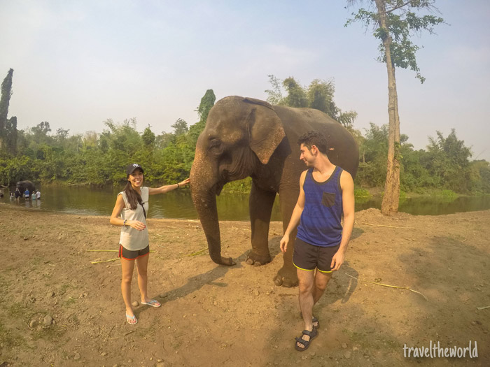 Escapada a Tailandia: Elephants World