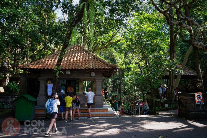 Entrada al Ubud Monkey forest