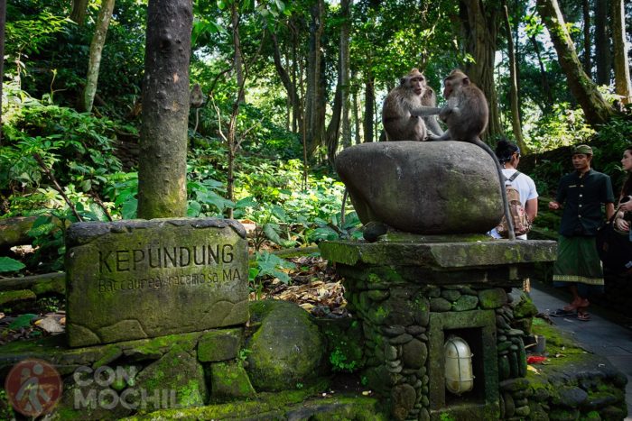 El Monkey Forest de Ubud