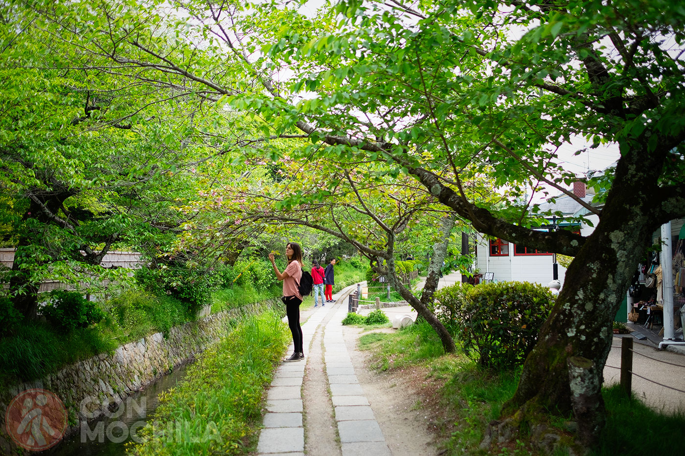 ᐈ El Paseo Del Filosofo El Lugar Mas Encantador De Kioto