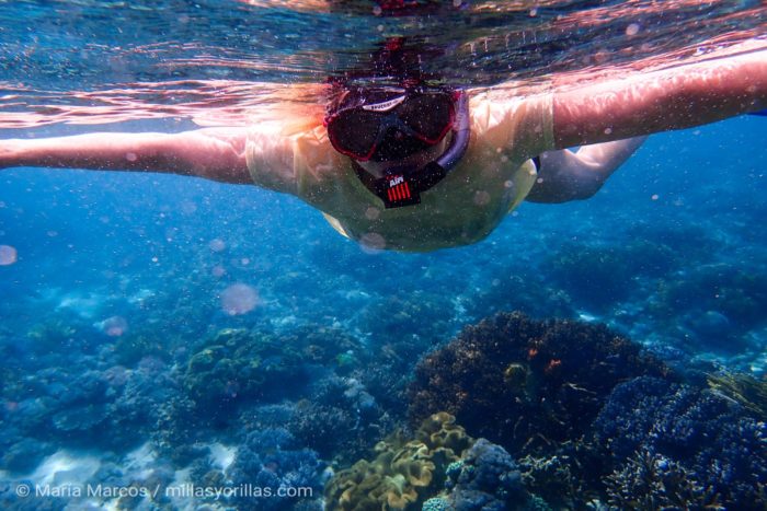 Turista haciendo snorkel cubriendo su cuerpo con algo más que un bikini.
